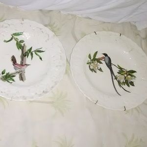 Porcelain plates